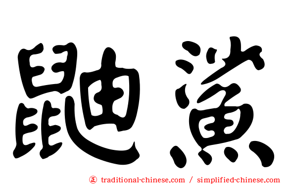鼬鯊