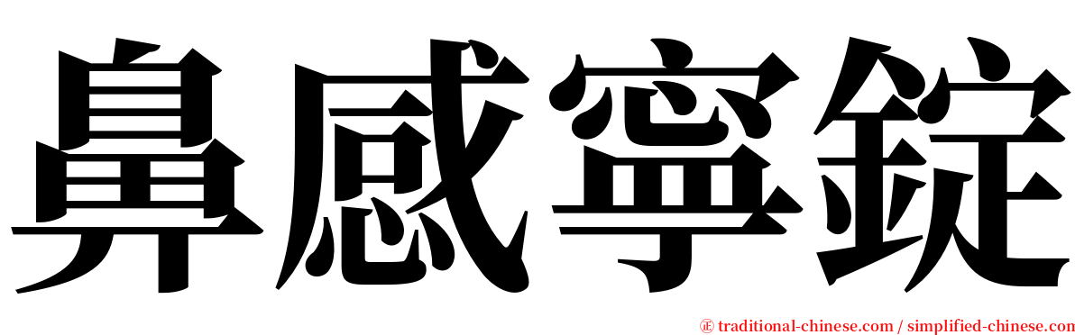 鼻感寧錠 serif font