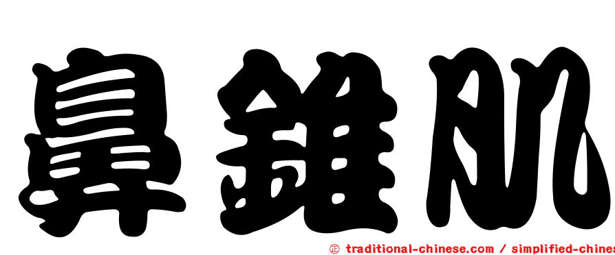 鼻錐肌