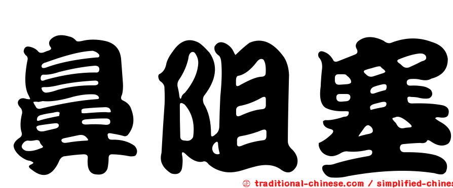 鼻阻塞