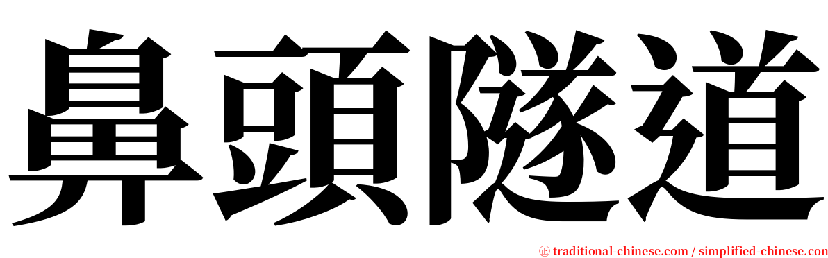 鼻頭隧道 serif font