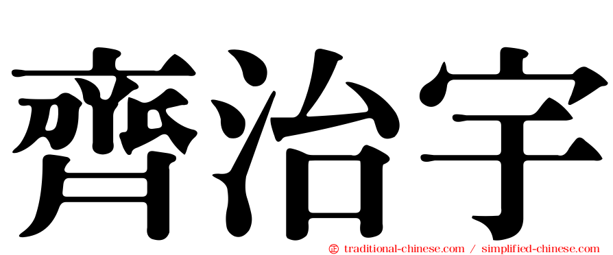 齊治宇