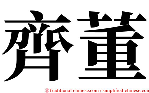 齊董 serif font