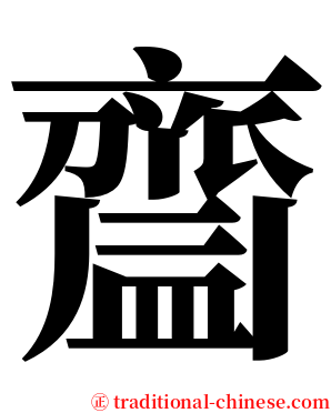 齍 serif font