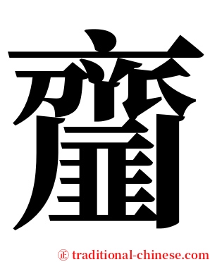 齏 serif font