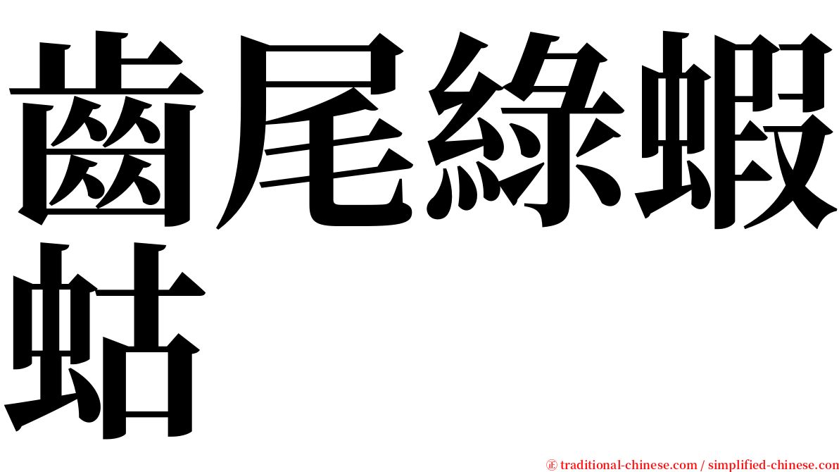齒尾綠蝦蛄 serif font