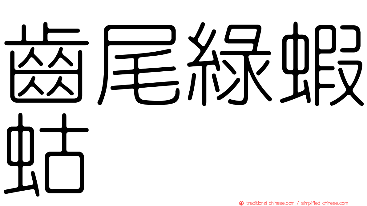 齒尾綠蝦蛄