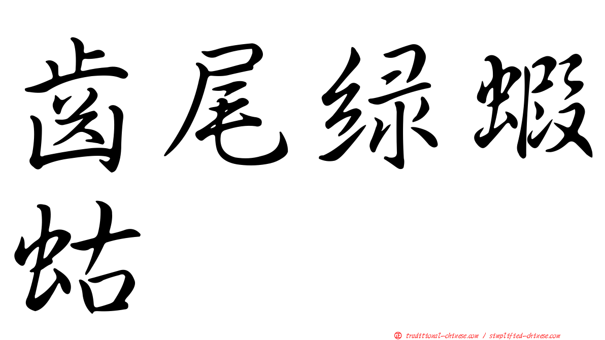 齒尾綠蝦蛄