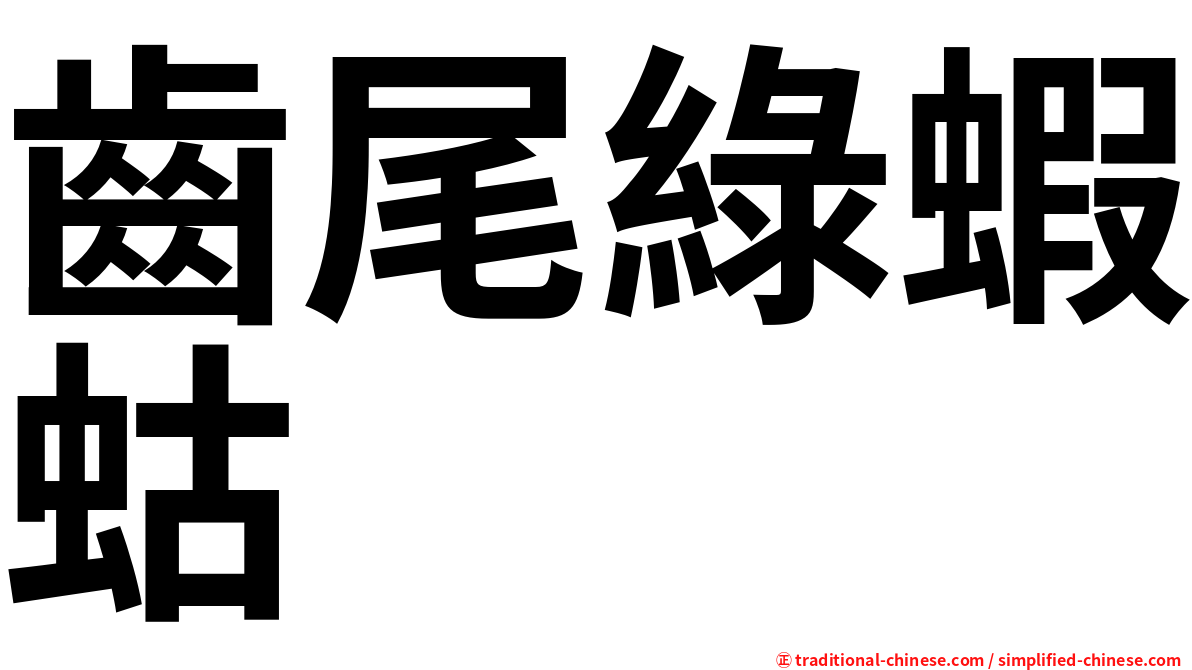 齒尾綠蝦蛄