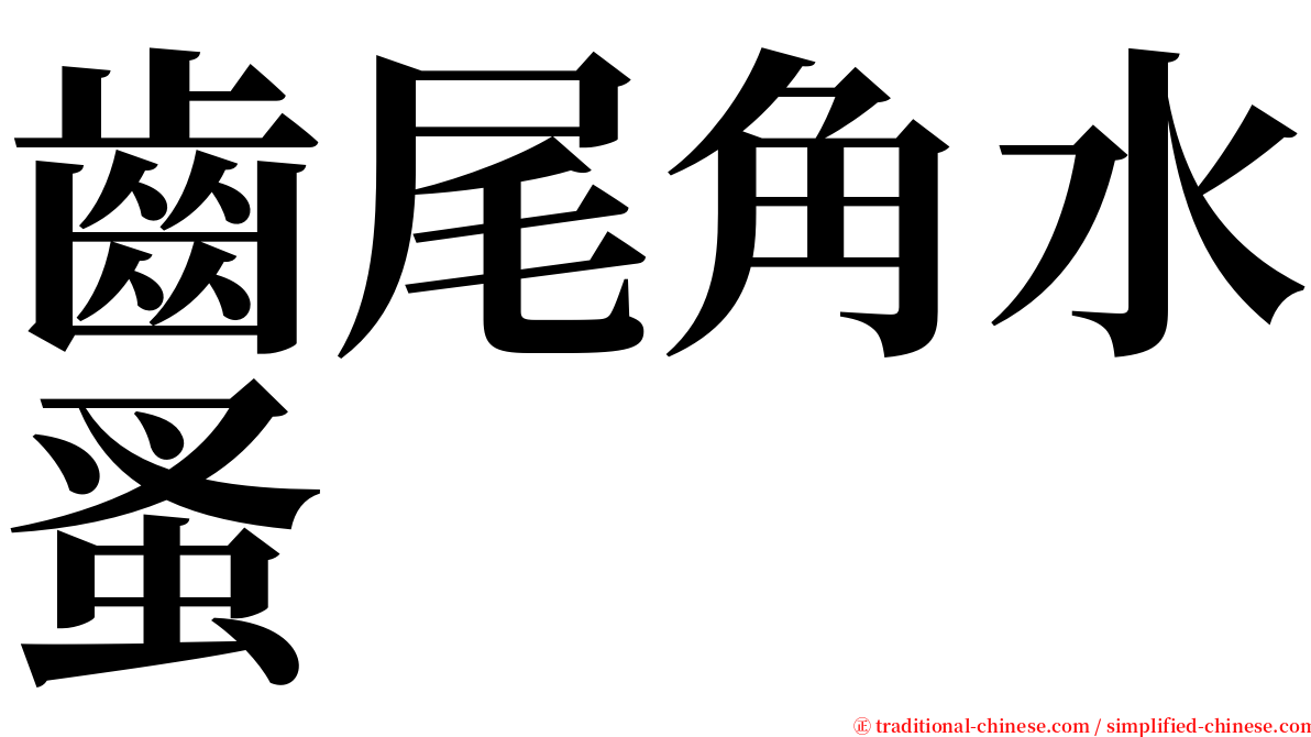 齒尾角水蚤 serif font