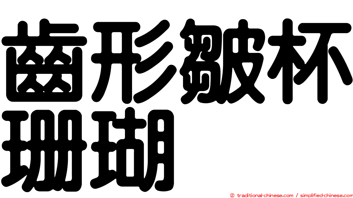 齒形皺杯珊瑚