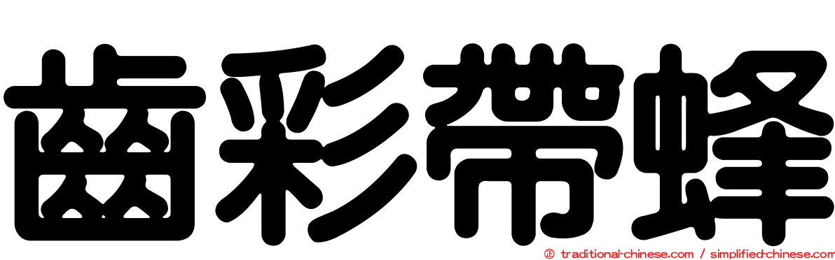 齒彩帶蜂
