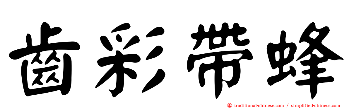 齒彩帶蜂