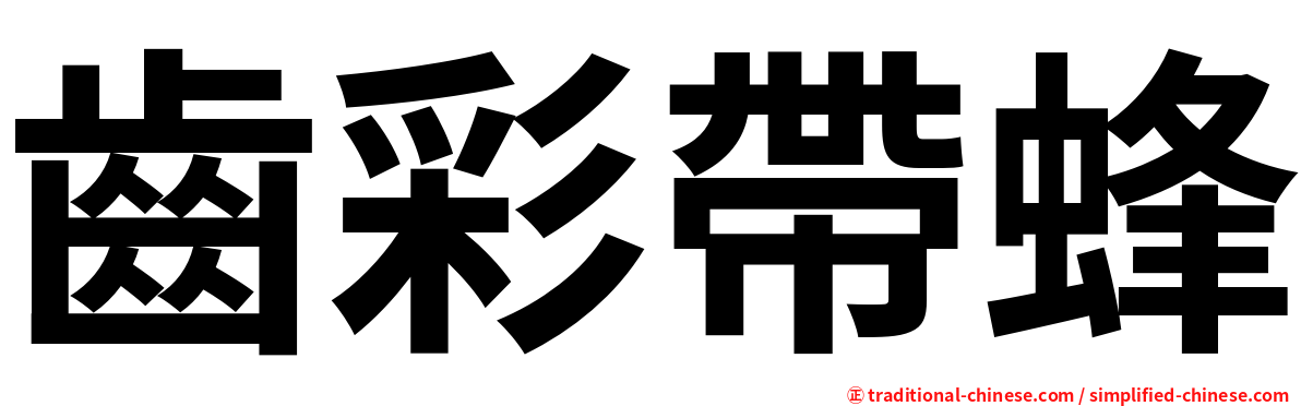 齒彩帶蜂