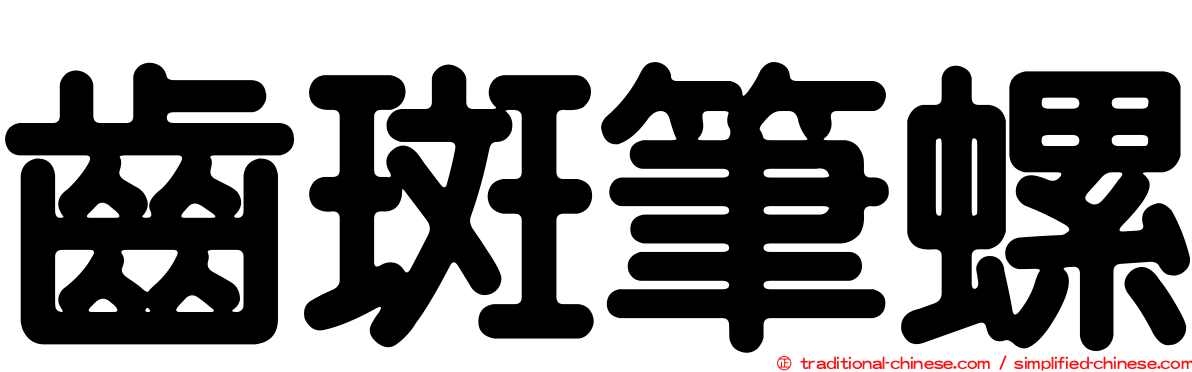 齒斑筆螺