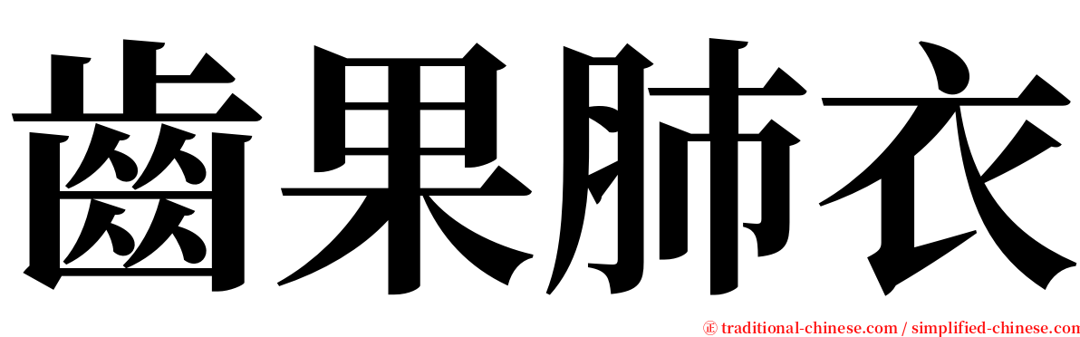 齒果肺衣 serif font