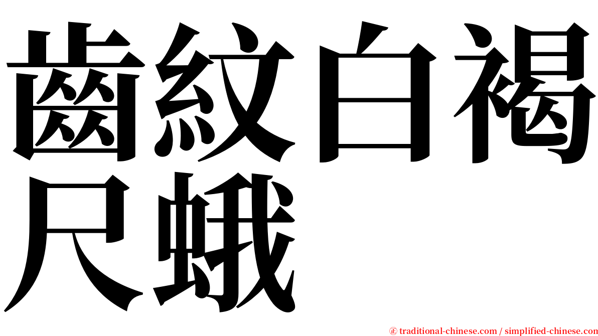 齒紋白褐尺蛾 serif font