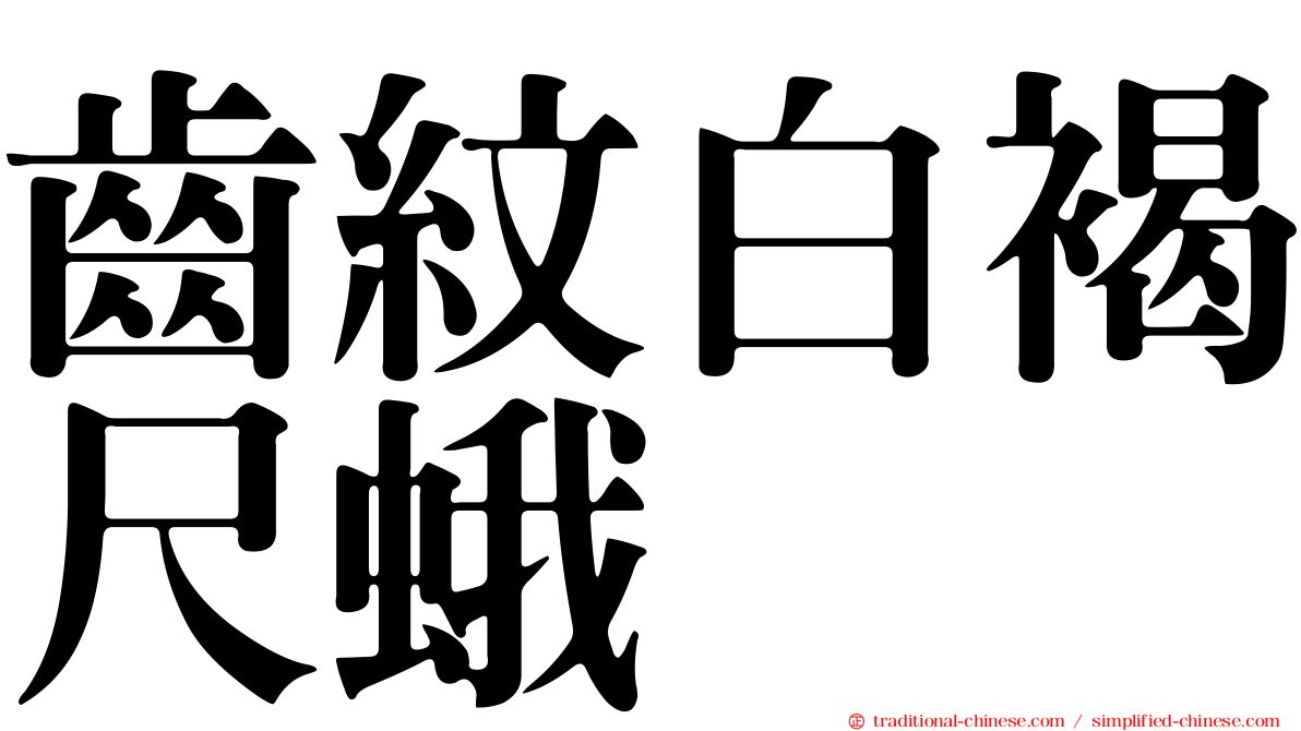 齒紋白褐尺蛾