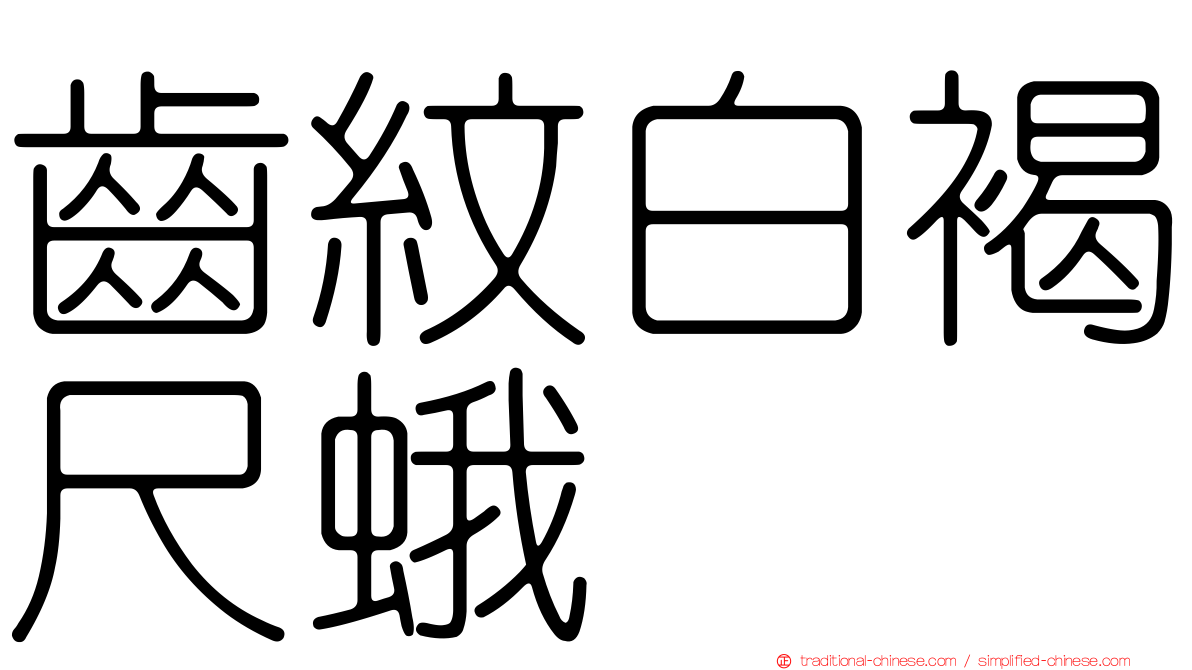 齒紋白褐尺蛾
