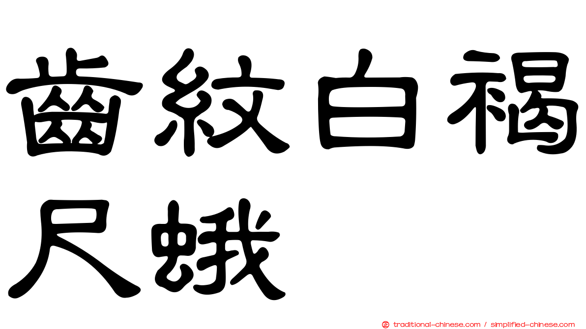 齒紋白褐尺蛾
