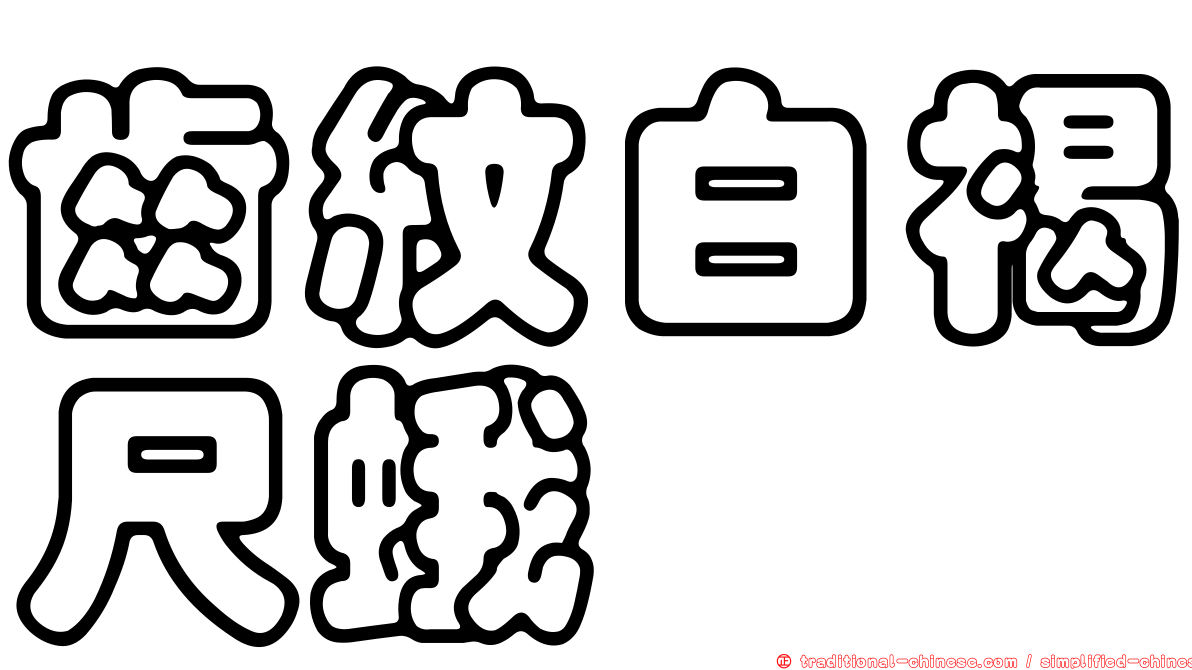 齒紋白褐尺蛾