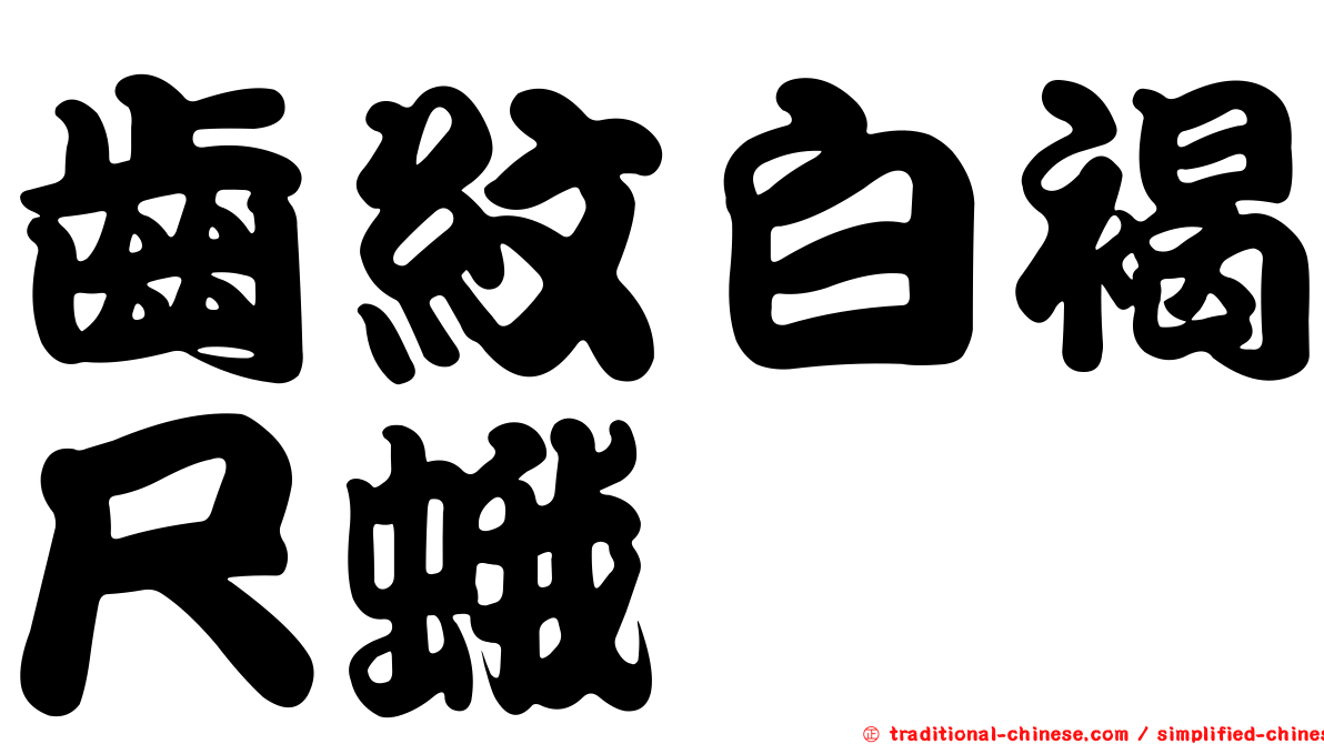 齒紋白褐尺蛾