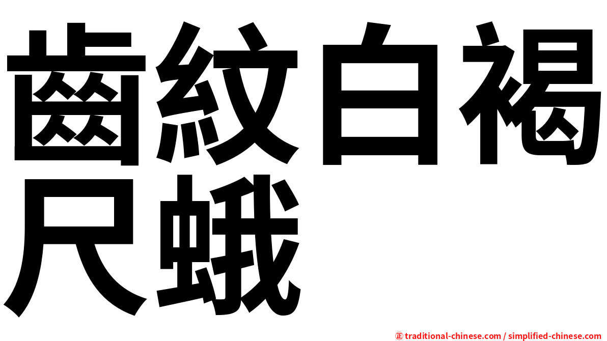 齒紋白褐尺蛾