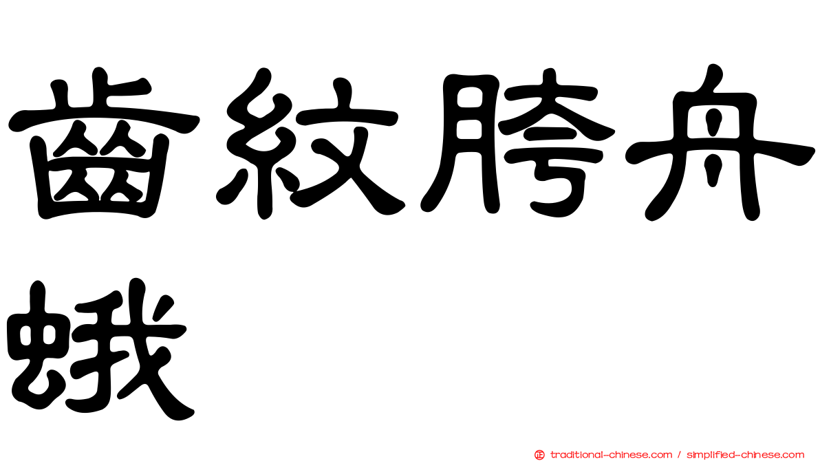 齒紋胯舟蛾
