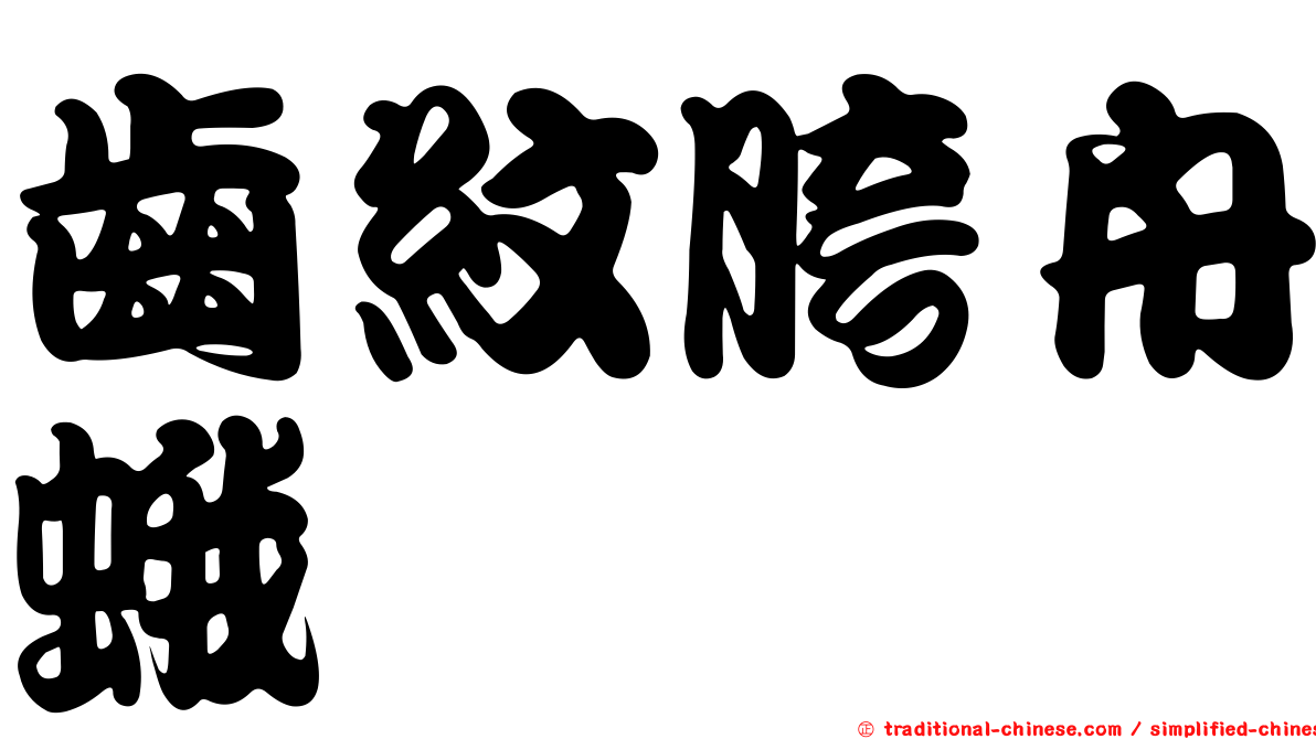齒紋胯舟蛾