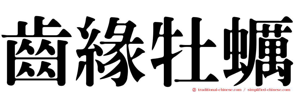 齒緣牡蠣