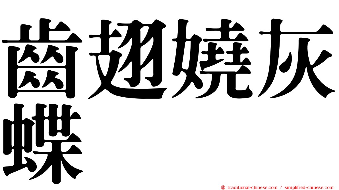 齒翅嬈灰蝶