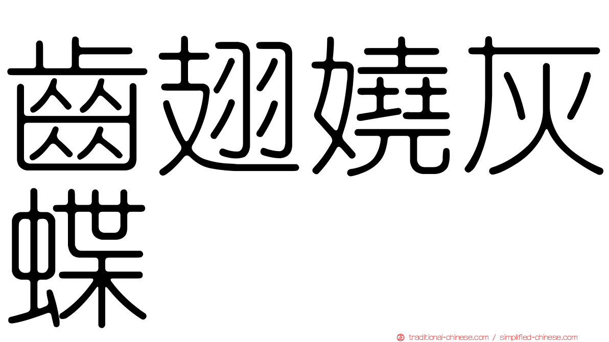 齒翅嬈灰蝶