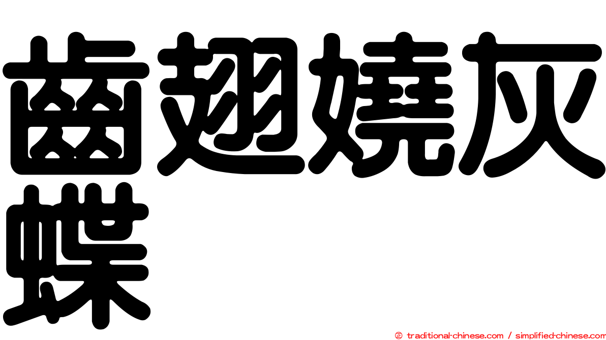 齒翅嬈灰蝶
