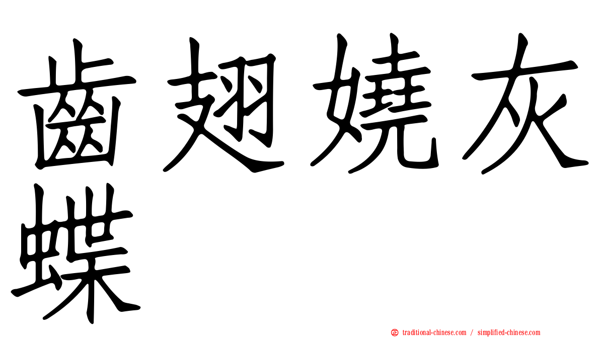 齒翅嬈灰蝶