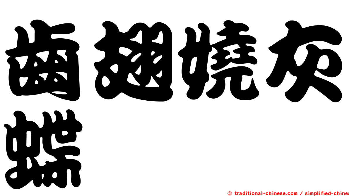 齒翅嬈灰蝶