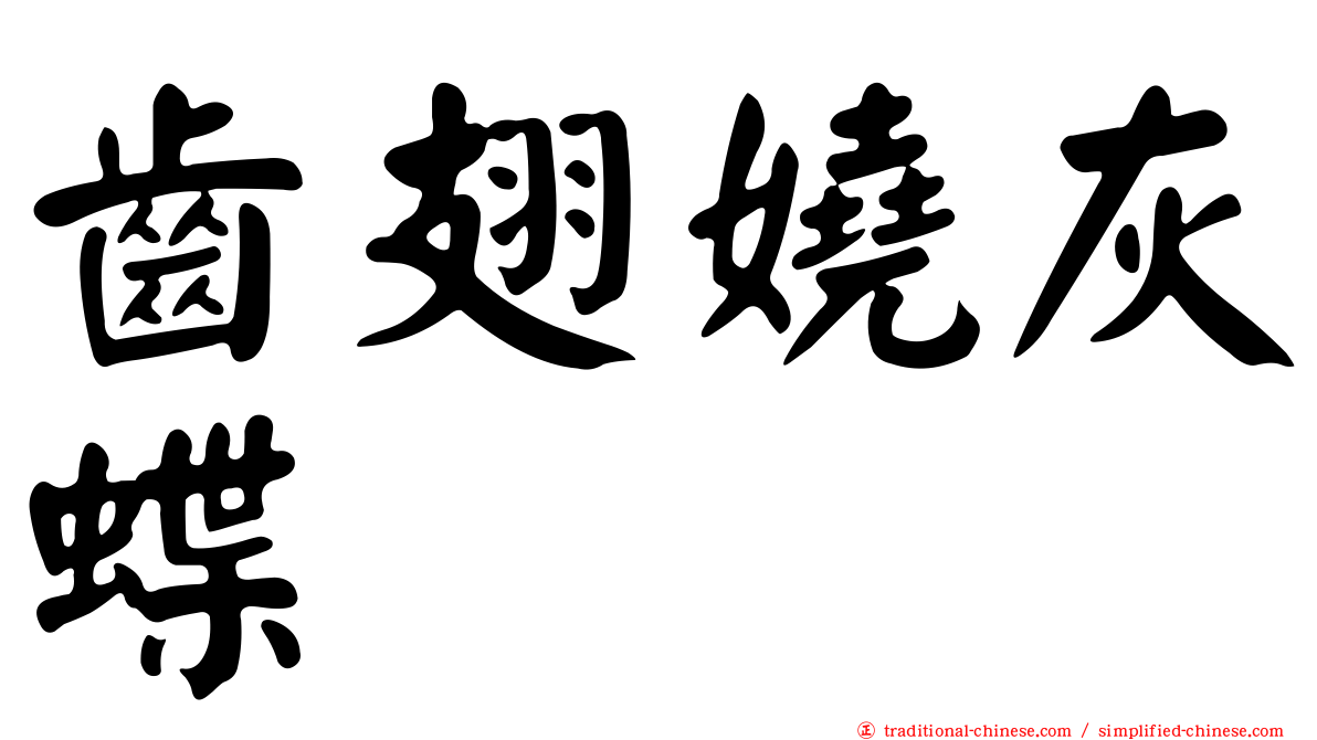 齒翅嬈灰蝶
