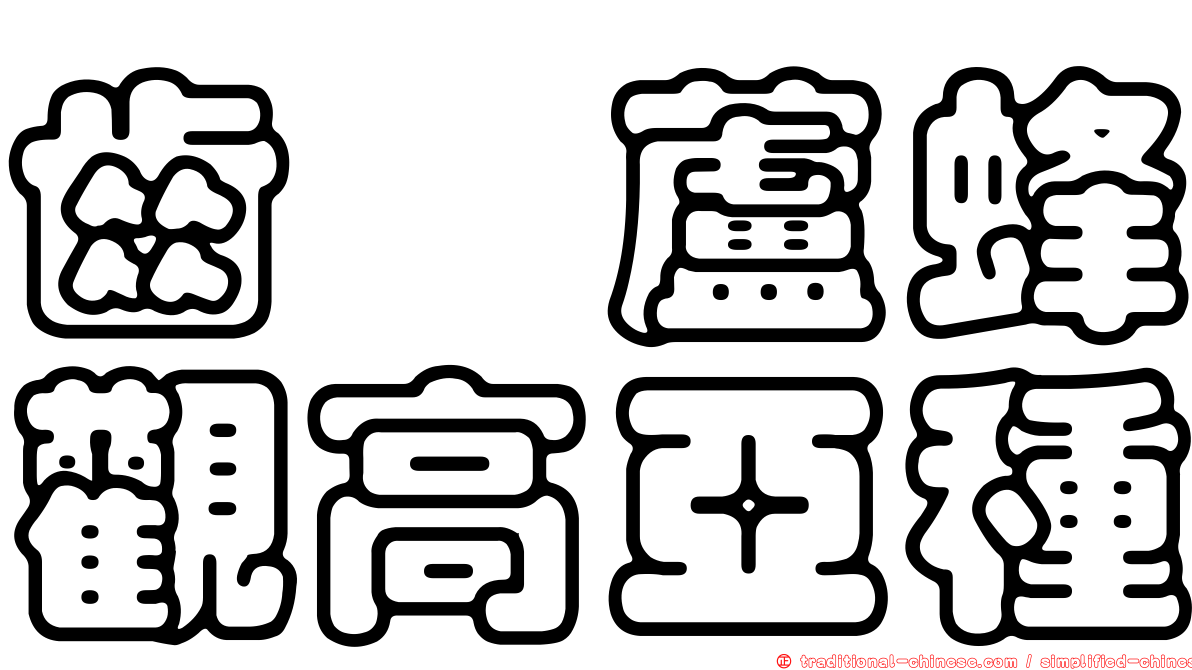 齒脛蘆蜂觀高亞種