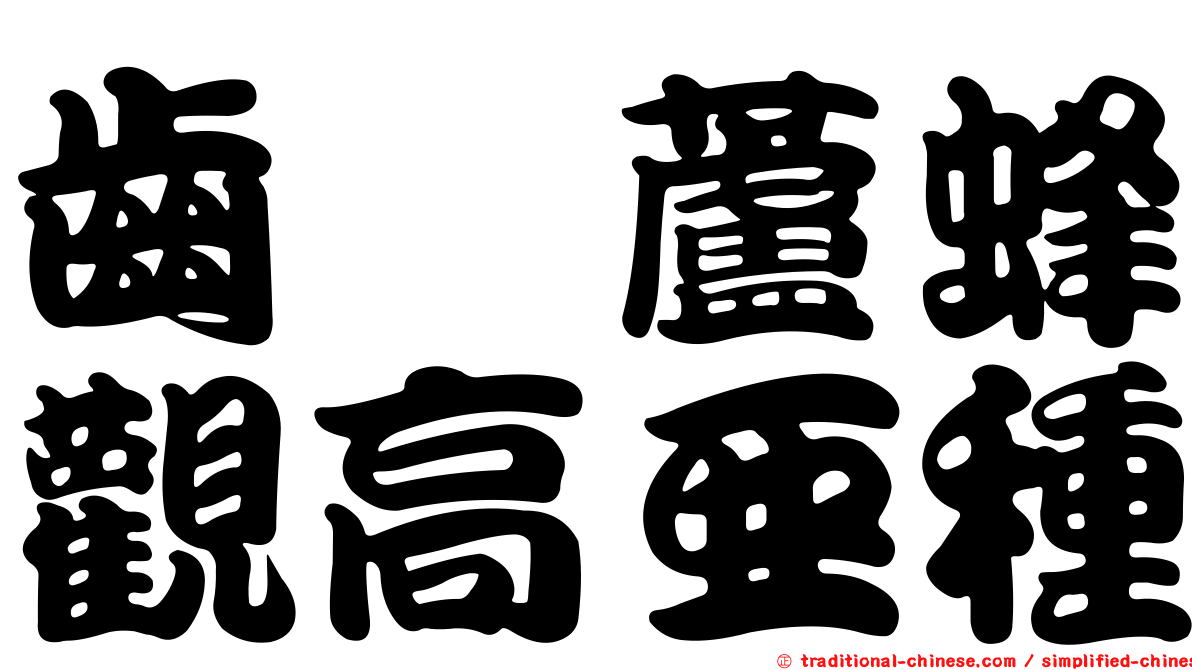 齒脛蘆蜂觀高亞種