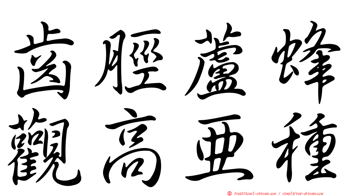 齒脛蘆蜂觀高亞種