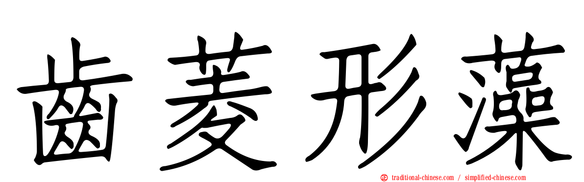 齒菱形藻