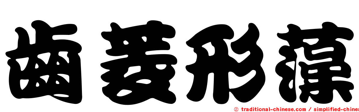 齒菱形藻