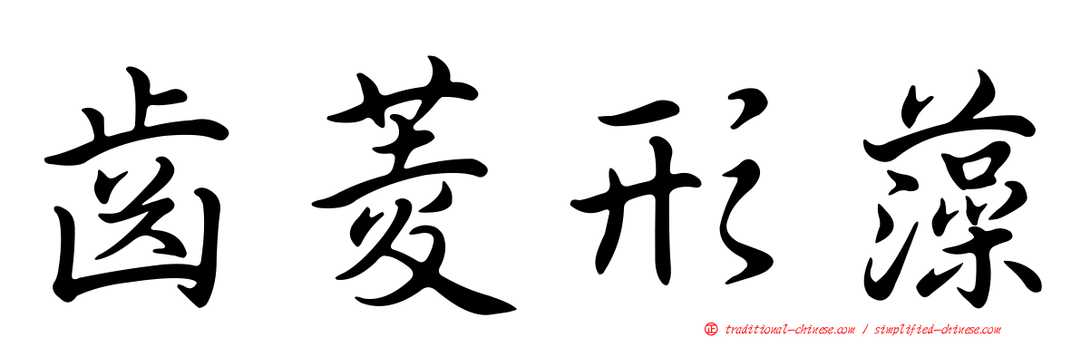 齒菱形藻