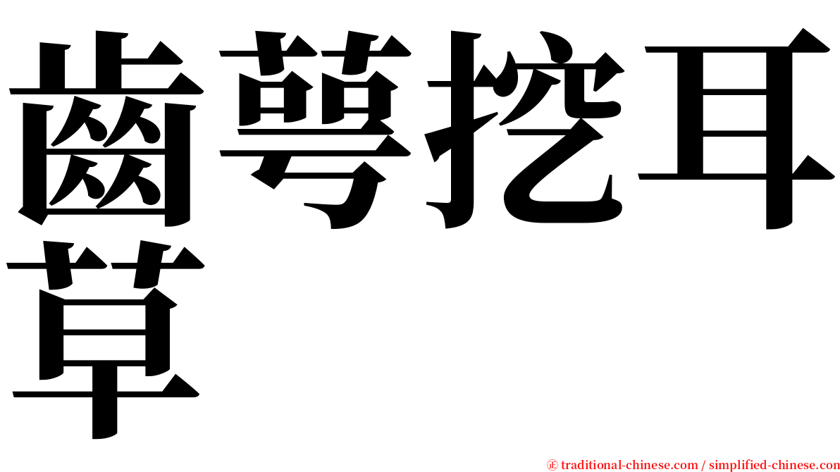齒萼挖耳草 serif font