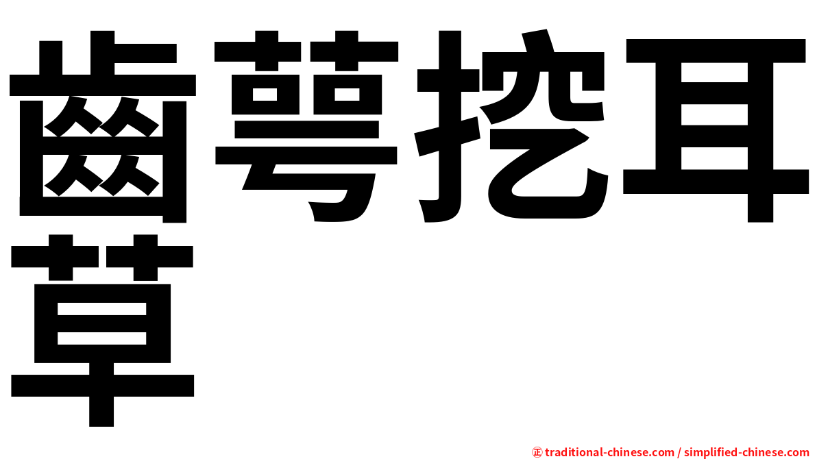 齒萼挖耳草