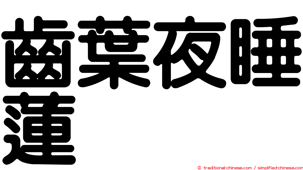齒葉夜睡蓮