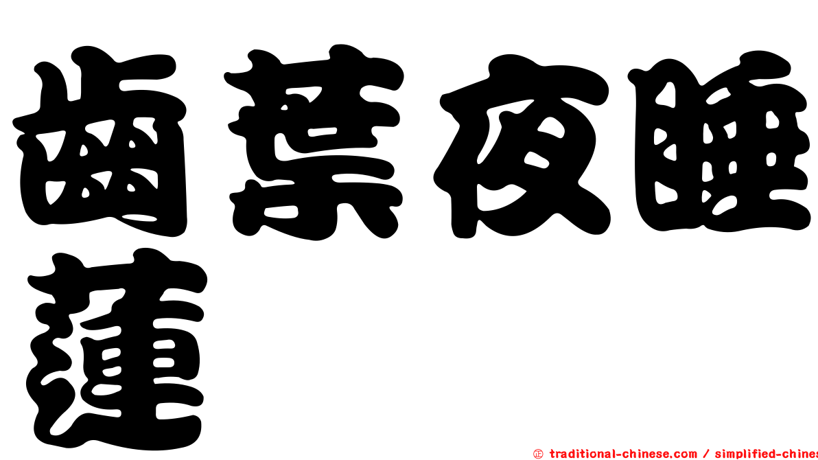 齒葉夜睡蓮