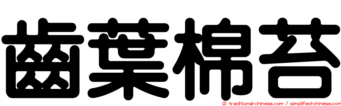 齒葉棉苔