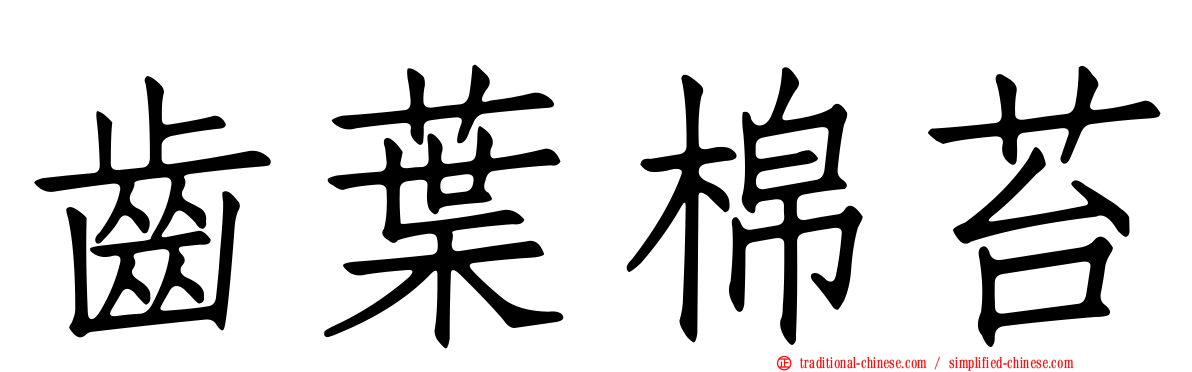 齒葉棉苔