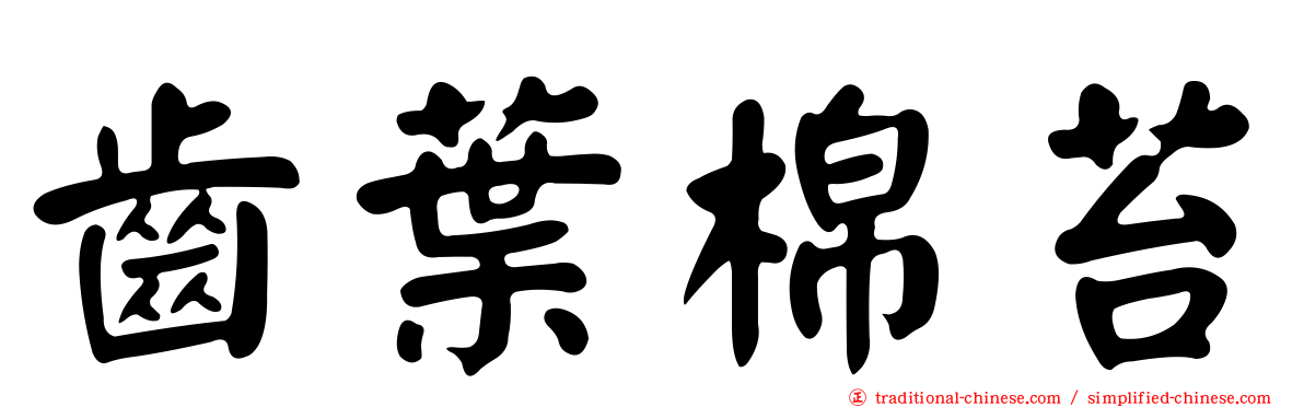 齒葉棉苔
