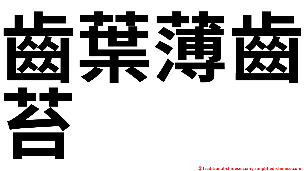 齒葉薄齒苔